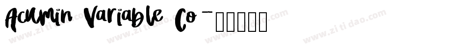 Acumin Variable Co字体转换
